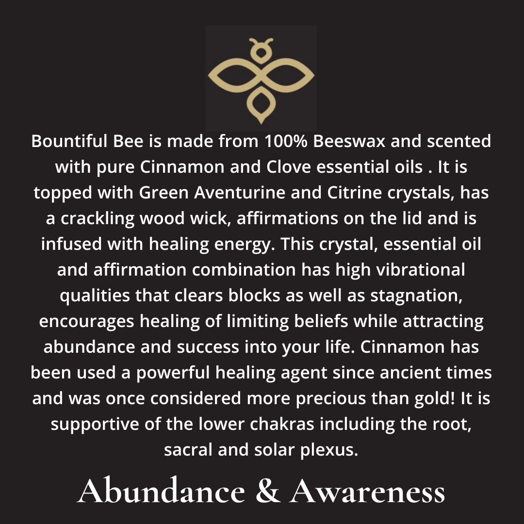 Bountiful Bee ~ Abundance and Awareness